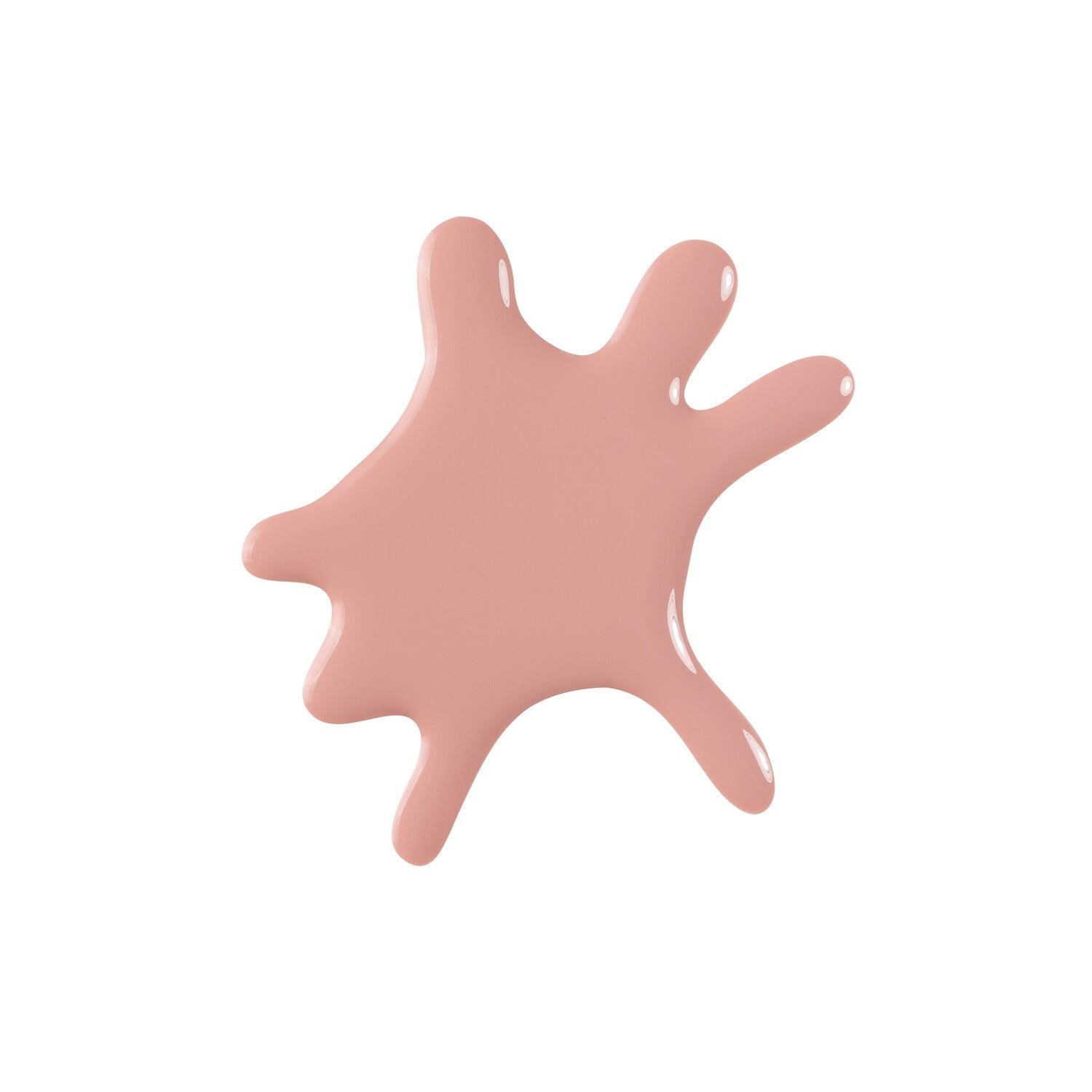 KOA -  DROSERA BARBIGERA 507